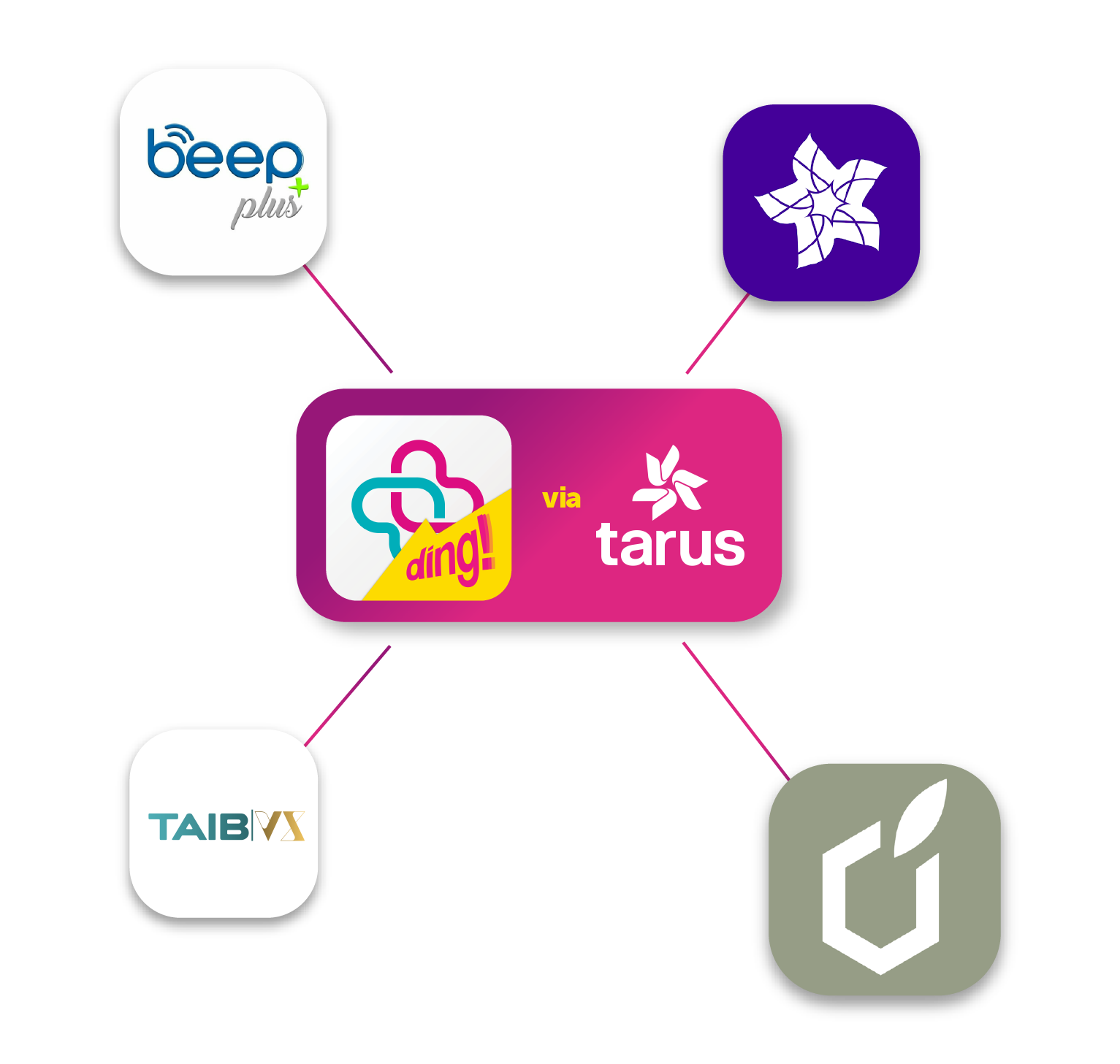DingLandingPage-2026-MerchantPage-FA_Tarus_Infographic