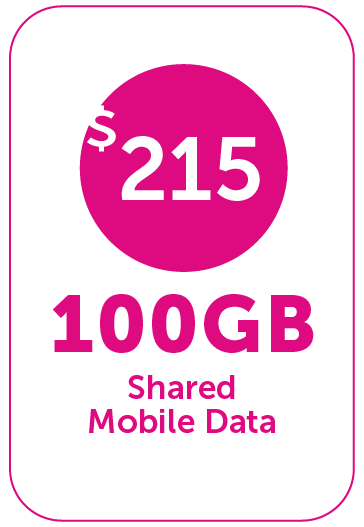 OneFam-100GB-nc