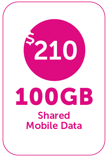 OneFam-100GB