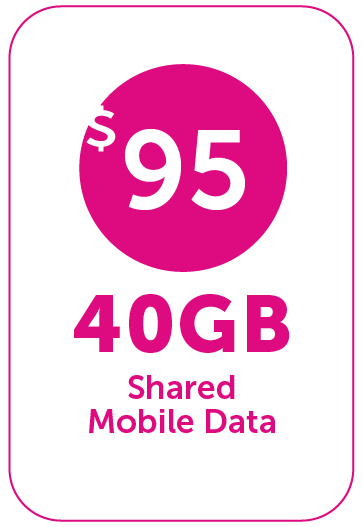 OneFam-40GB-nc