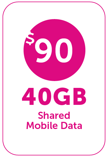 OneFam-40GB