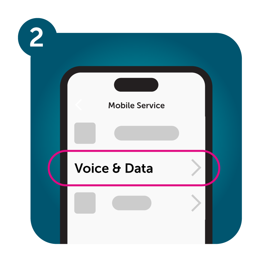 VoLTE-Activation-Website_Step2